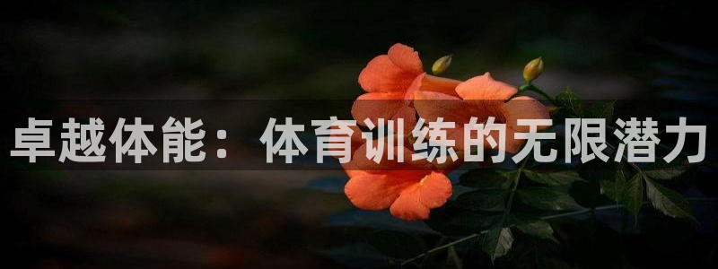 JJB竞技宝官网下载招商电话是多少啊：卓越体能：体育