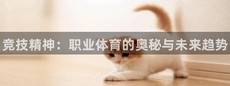 海南JJB竞技宝官网下载发展怎么样：竞技精神：职业体育的奥秘