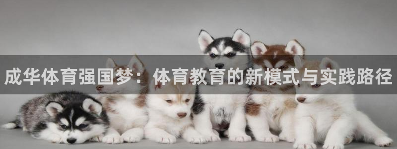 JJB竞技宝官网下载平台是正规平台吗知乎