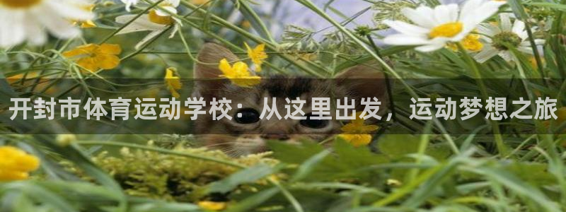 JJB竞技宝官网下载招商电话是多少号码：开封市体育运