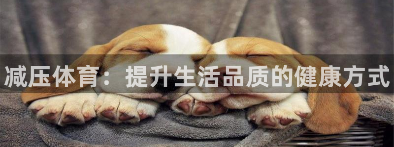 海南JJB竞技宝官网下载：减压体育：提升生活品质的健