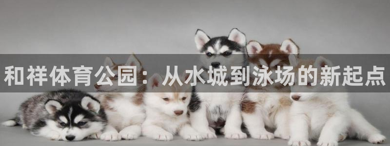 JJB竞技宝官网下载平台是正规平台吗安全吗：和祥体育