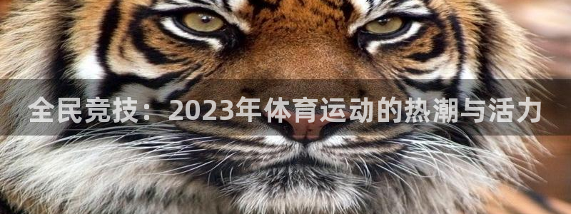 JJB竞技宝官网下载开户：全民竞技：2023年体育运