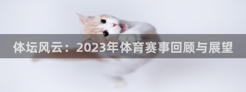JJB竞技宝官方正版app娱乐：体坛风云：2023年