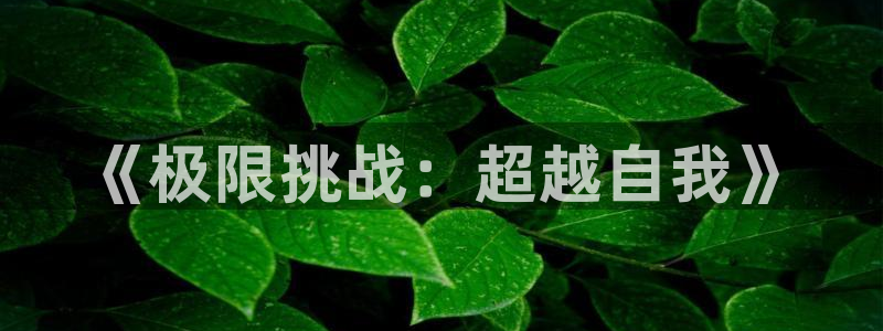 JJB竞技宝官网下载平台是正规平台吗知乎：《极限挑战