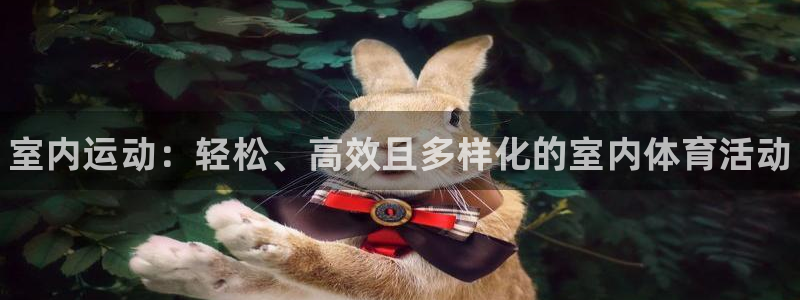 JJB竞技宝官网下载平台：室内运动：轻松、高效且多样