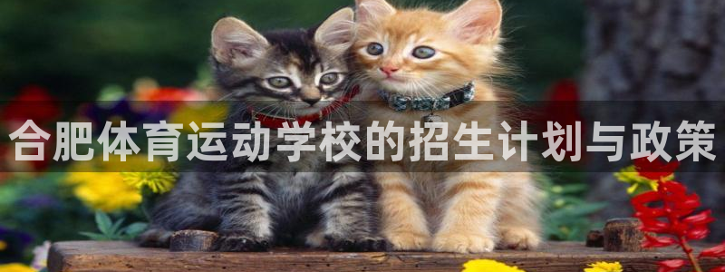 JJB竞技宝官网下载平台是正规平台吗安全吗：合肥体育运动学校