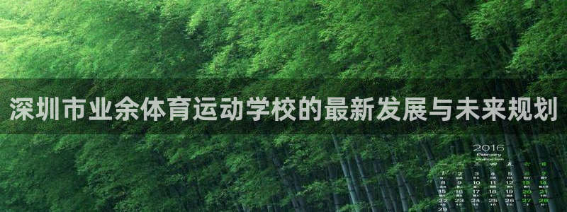 JJB竞技宝官方平台体育：深圳市业余体育运动学校的最新发展与