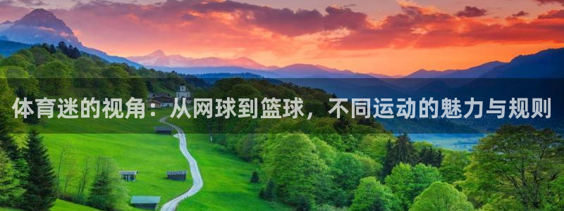 JJB竞技宝官网下载注册：体育迷的视角：从网球到篮球