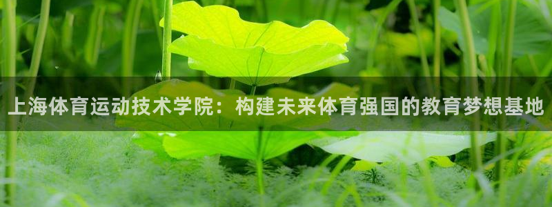 JJB竞技宝官方正版app娱乐40996：上海体育运