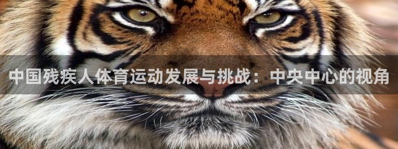 JJB竞技宝官网下载招商电话号码是多少啊：中国残疾人