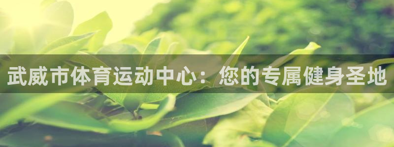 JJB竞技宝官方正版app科技：武威市体育运动中心：您的专属