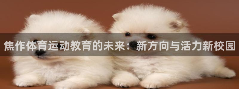JJB竞技宝官方平台体育：焦作体育运动教育的未来：新方向与活
