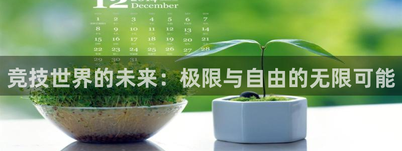 JJB竞技宝官方正版app集团logo：竞技世界的未来：极限