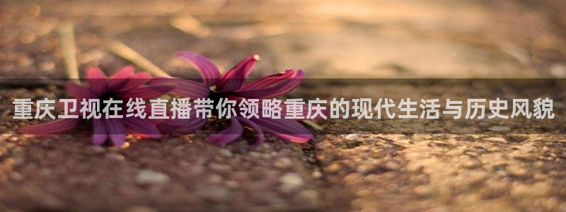 蜘蛛体育免费直播：重庆卫视在线直播带你领略重庆的现代生活与历史风貌