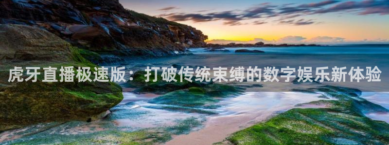 蜘蛛体育：虎牙直播极速版：打破传统束缚的数字娱乐新体验