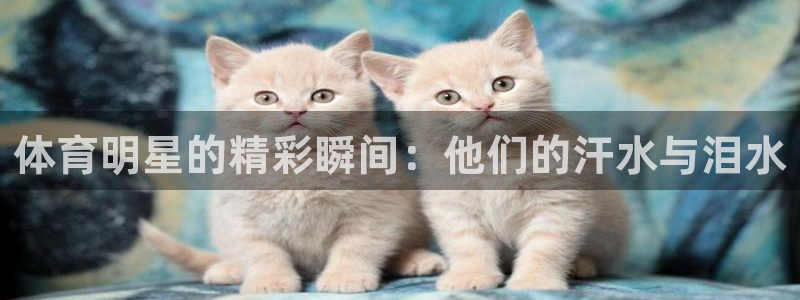 竞技宝官网在线：体育明星的精彩瞬间：他们的汗水与泪水