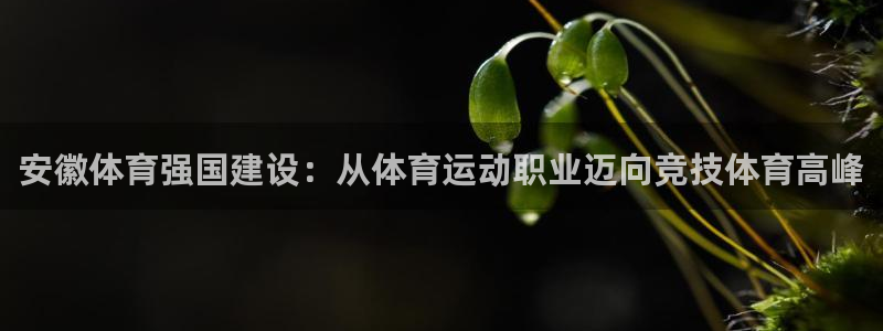 JJB竞技宝app全站：安徽体育强国