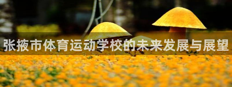  竞技宝可以玩什么平台不如哈哈电竞：张掖市体育运动学校的未来发