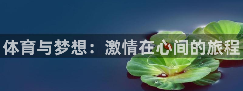  竞技宝下载app官网：体育与梦想：激情在心间的旅程