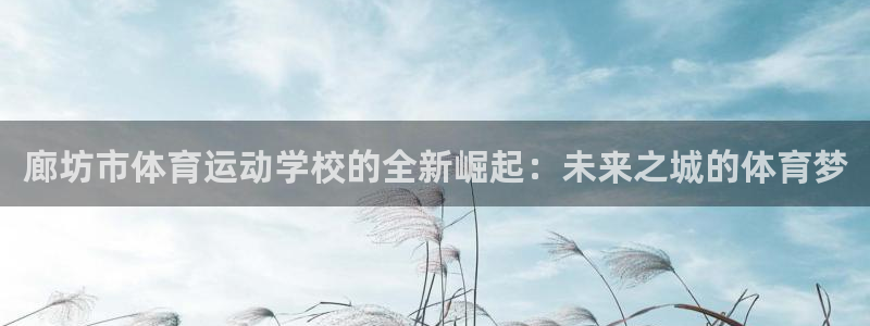  竞技宝app下载官网：廊坊市体育运动学校的全新崛起：未来之城
