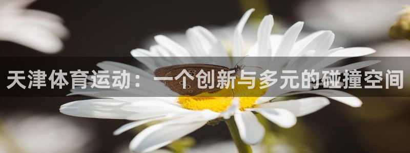 竞技宝客服打不开怎么回事：天津体育运动：一个创新与多元的碰撞