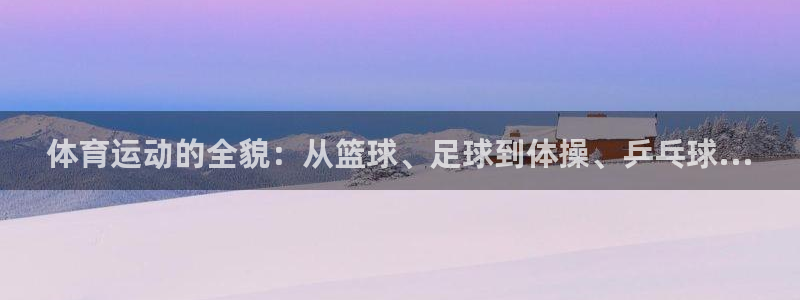 竞技宝app赌博：体育运动的全貌：从篮球、足球到体操、乒乓球