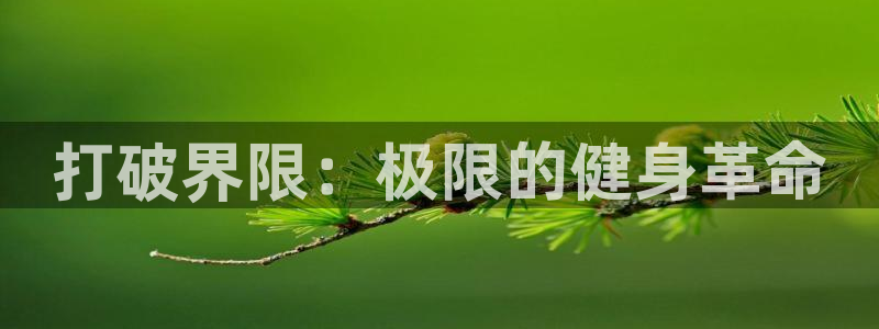 竞技宝平台黑不黑：打破界限：极限的健