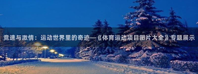 竞技宝官网登陆网址：竞速与激情：运动