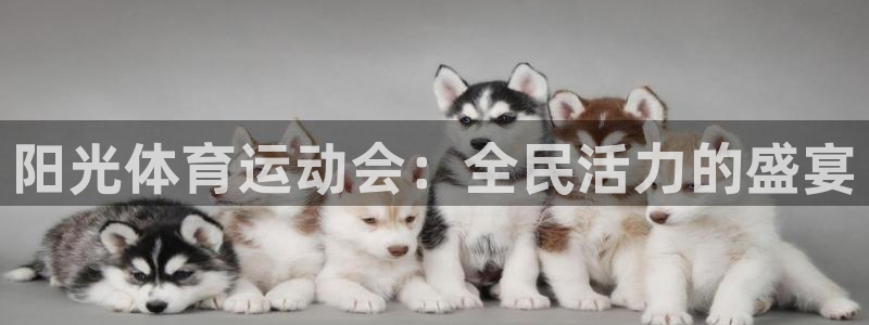  竞技宝app官方版下载：阳光体育运动会：全民活力的盛宴
