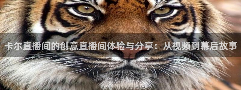 蜘蛛体育免费直播：卡尔直播间的创意直播间体验与分享：从视频到幕后故事