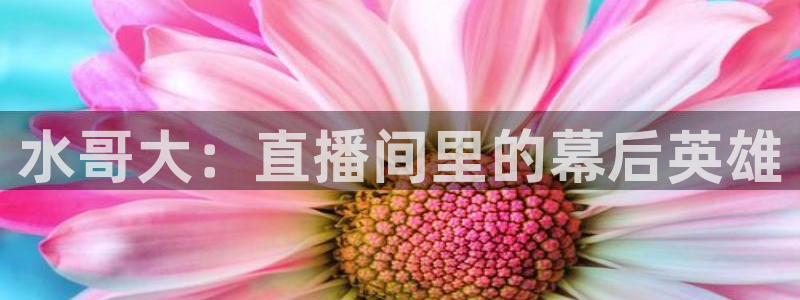 nba免费直播在线直播蜘蛛直播：水哥大：直播间里的幕后英雄