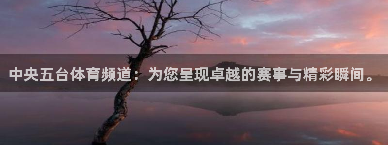蜘蛛体育免费：中央五台体育频道：为您呈现卓越的赛事与精彩瞬间。